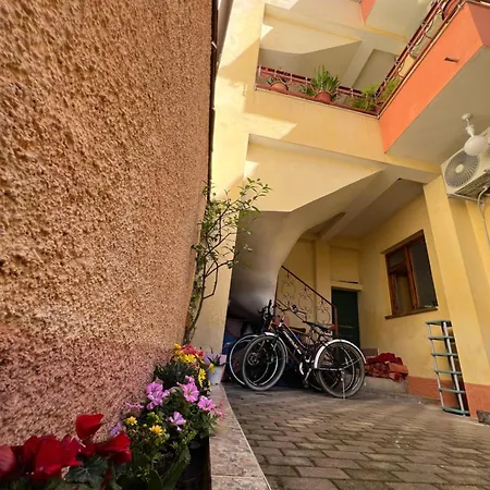 Innerbloom * טיראנה