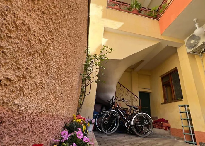 Innerbloom * טיראנה